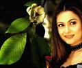 Amrita  Arora*